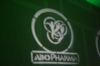 gobo personalizat si baghete arhitecturale